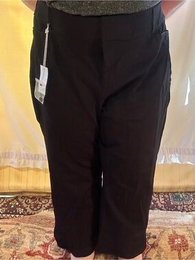 Lane Bryant “Allie” Smart Stretch Pants